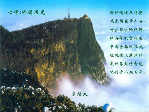 真三国无双8